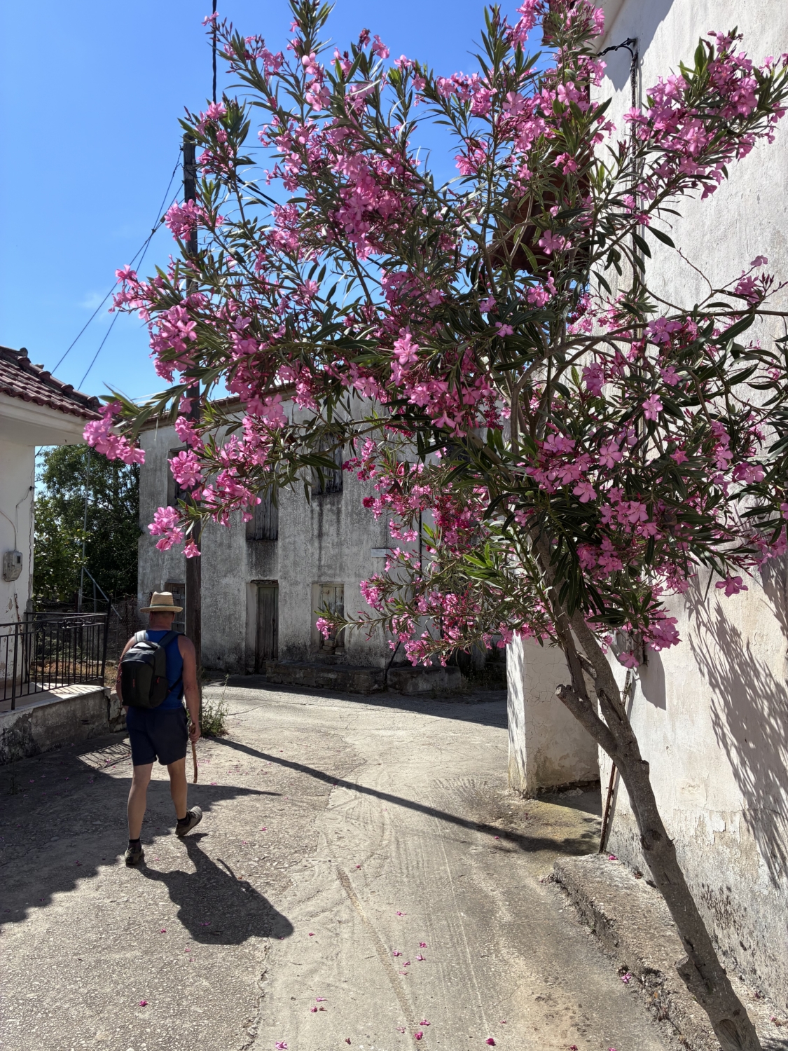 image00003
